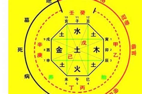 2024 八字|生辰八字算命、五行喜用神查詢（免費測算）